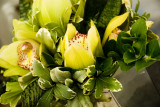Gold cymbidium orchids and greens. Photo by Wendy Johnson