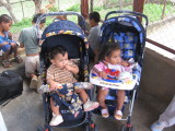two new strollers for the infants