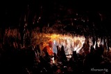 Davao Cave