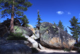 Boulders and Pines