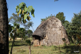 Traditional Dorze house