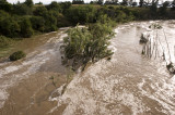 THE WOLLONDILLY RIVER IN FLOOD