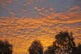 FIRE IN THE SKY OVER GOULBURN, No 1