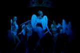 Compagnie Danse ta vie - 5 mars 2011 - Albi