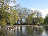 River Avon, Stratford Upon Avon
