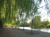 River Avon, Stratford Upon Avon