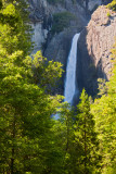 Lower Yosemite Fall