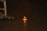 A krathong floats down the river.