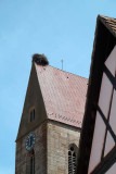 Eguisheim, nid de cigogne