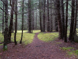 Dyea - dernière localité avant la / last town before the - Chilcoot Trail