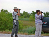 Birders