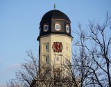 Clock Tower (Bird Perch) look closely at the top.....