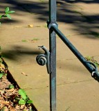 Iron Snail