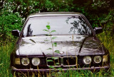Green BMW
