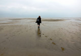 Mudflat Walk