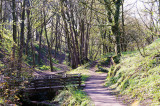 Fairy Glen     16 April 2012