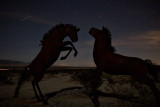 Horses at Night #2
