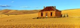 Abandoned Mid North Homestead