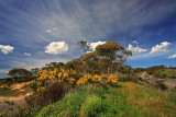 Willunga Hill Lookout