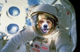 NASA BUDDY.jpg