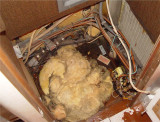HERE IS THE EMPTY WATER HEATER COMPARTMENT, SHOWING ONLY HEAT TAPES AND NO FREEZE HEATER