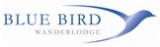 NEW BIRD AVATAR.jpg