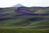 015_Palouse.JPG