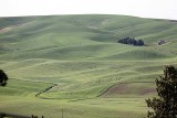 016_Palouse.JPG