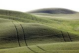 030_Palouse.JPG