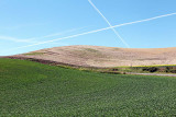 043_Palouse.JPG