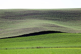 090_Palouse.JPG