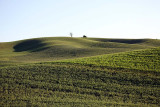111_Palouse.JPG