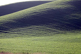 113_Palouse.JPG