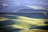 118_Palouse.JPG