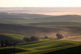 121_Palouse.JPG