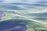 150_Palouse.JPG