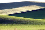 204_Palouse.JPG