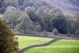 048_IMG_2068.JPG