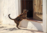 Nerja_016.JPG