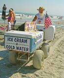 Wildwood  Ice Cream