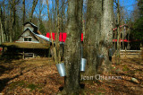 rablire Au Bec Sucr - rustique  (Valcourt Qubec ) Maple Syrup