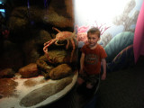 Noah and the crab as big as himself.he loves crab.JPG
