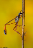 IMG_4273n.jpg