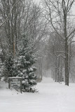 Entrance to the trail.