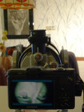 xz1_questar_rear_10dollar.jpg