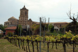 vineyard, Monasterio de Irache