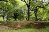 Polonnaruwa