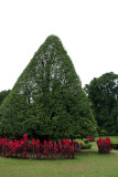 Kandy - Botanical Garden