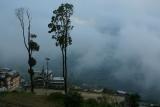 Darjeeling in the clouds