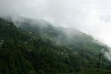 Darjeeling in the clouds
